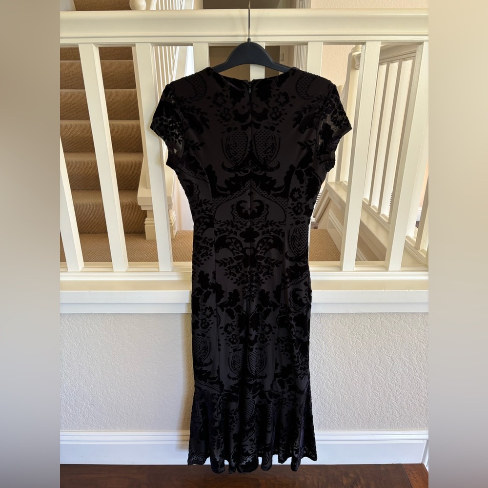 Felicity & Coco Black Velvet Stretch Dress